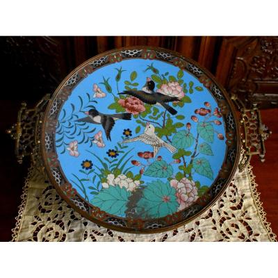 Cloisonné Enamel Cup, Enamel, Dish On Bronze Base, Asia Around 1900, Bird Decor