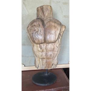 Wooden Male Torso