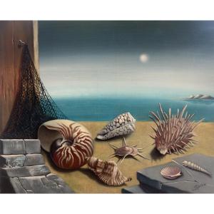 Georges Spiro (1909-1999) - Shells
