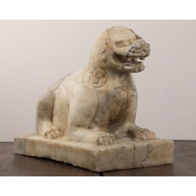 Pho Dog In Marble.