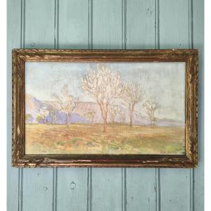 Henri Maurice Pacquet - Oil On Canvas