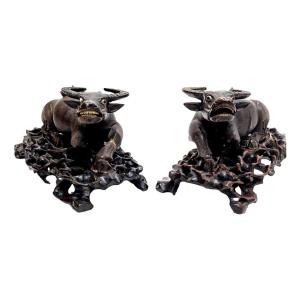 Pair Of Indochinese Cows, 19th Century