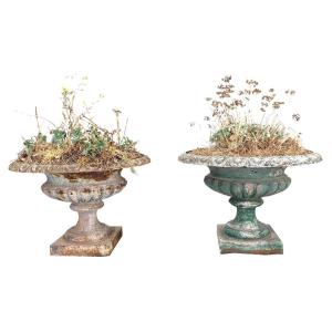Pair Of Medici Vases In Cast Iron From The 19th Century
