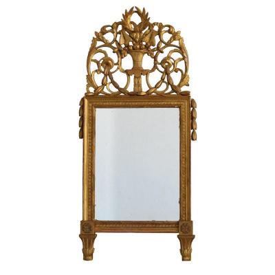 Mirror In Golden Wood Louis XVI XIXth