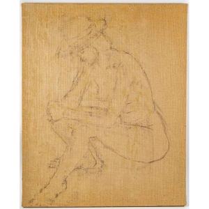 Drawing In Transparency, XXth Century