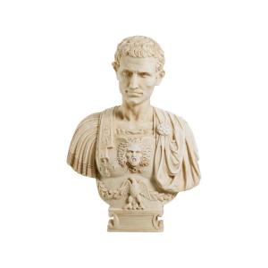 Marble Bust Representing Julius Caesar, Patinated Marble, Contemporary Work.