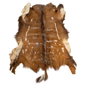 Animal Skin For Wall Decoration
