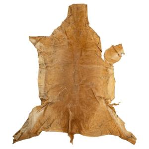 Animal Skin For Wall Decoration