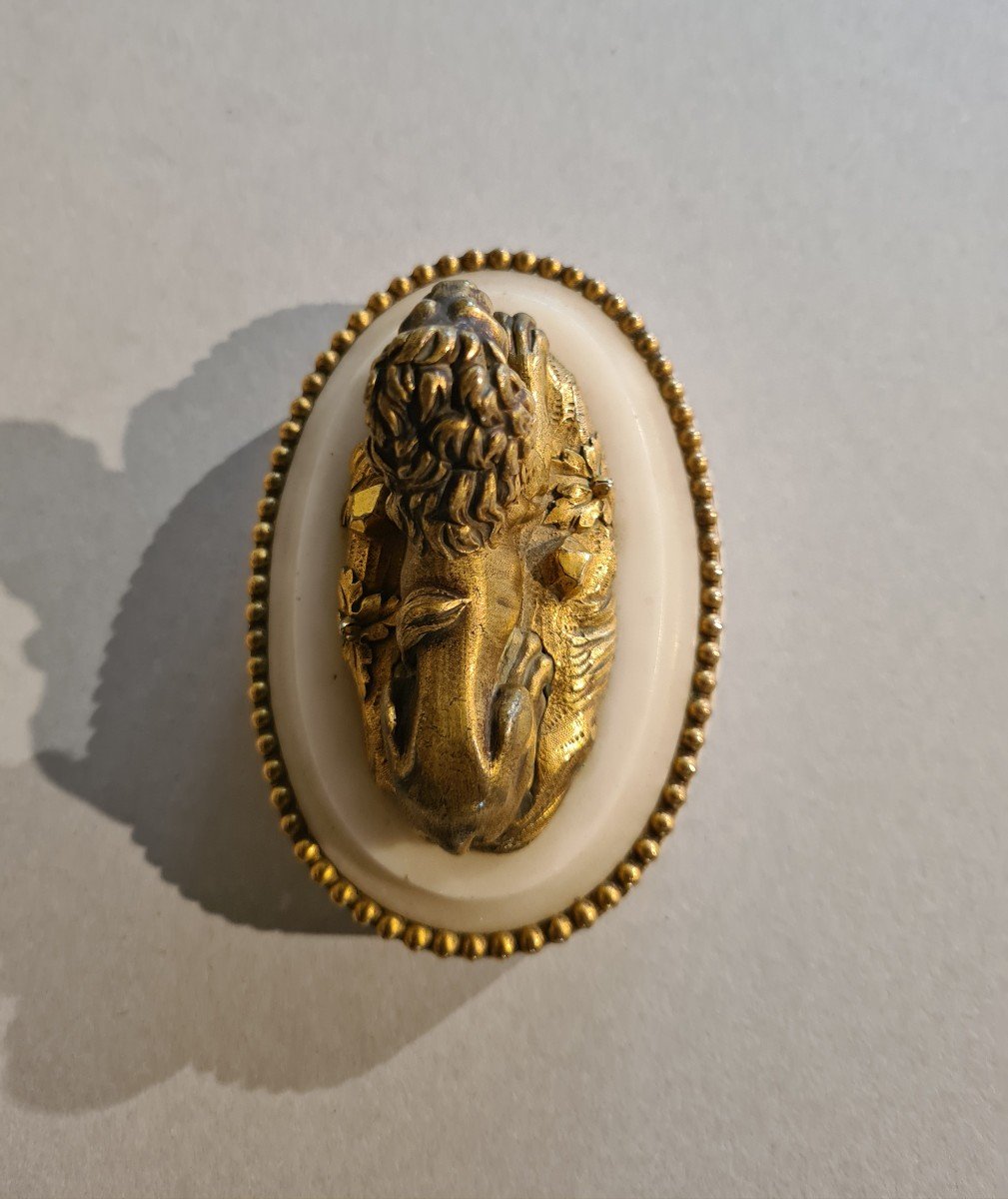 Coppia di leoni in bronzo dorato-photo-1