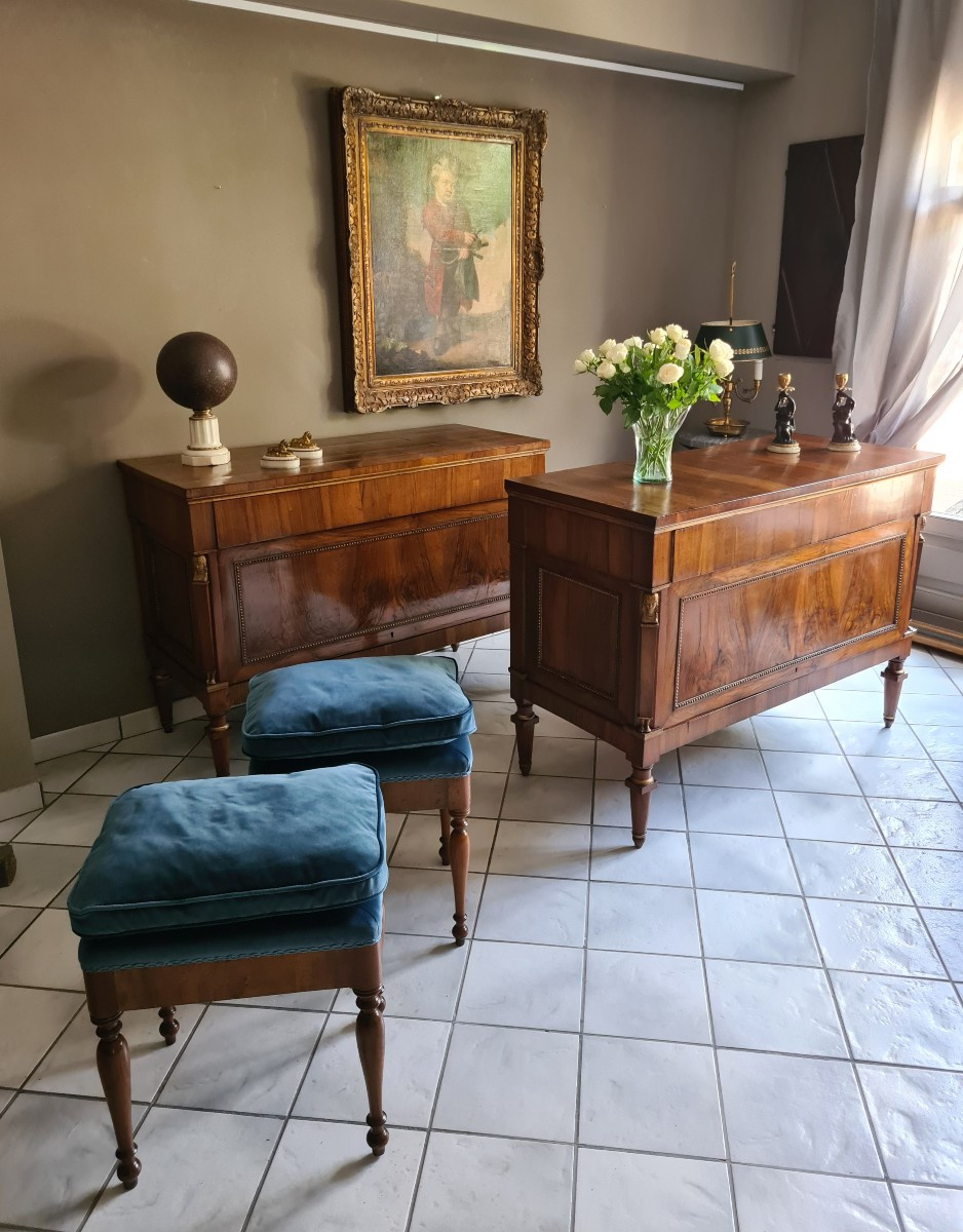 Coppia di commodes à vantaux Toscana inizio del XIX secolo -photo-6