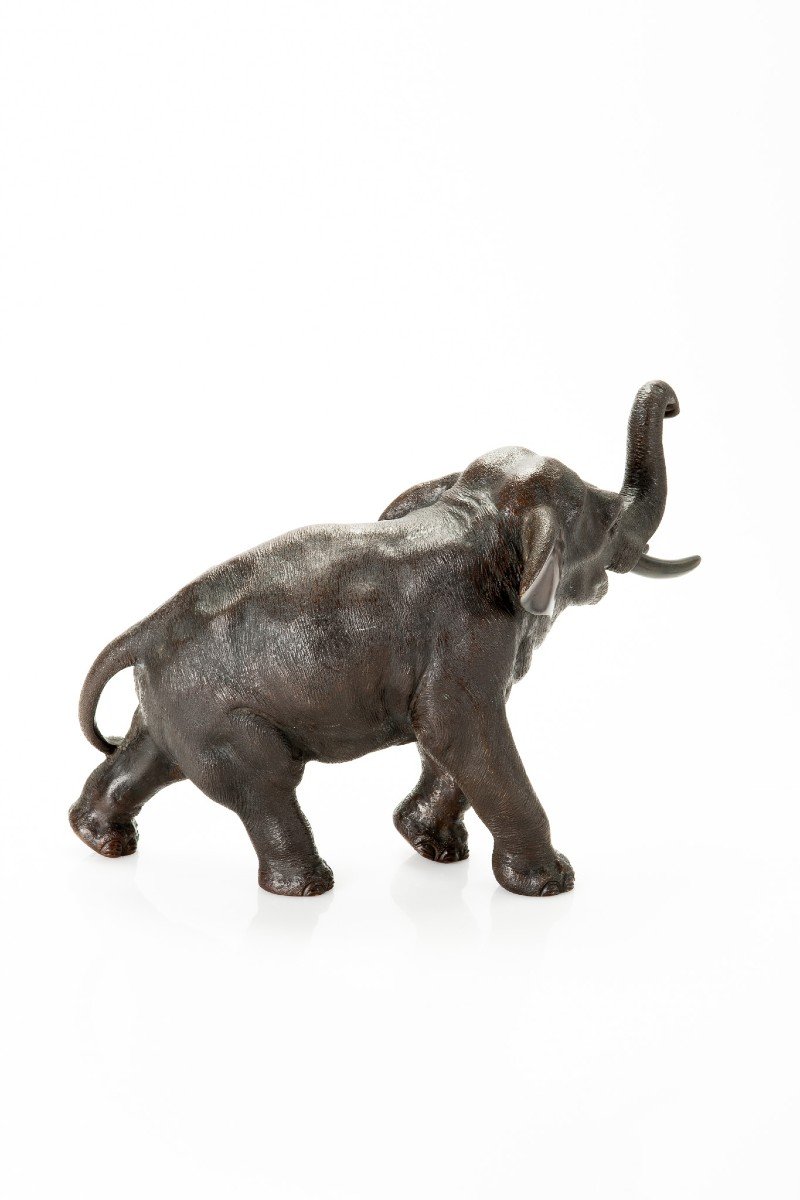 Seiya – Elefante bronzo-photo-2