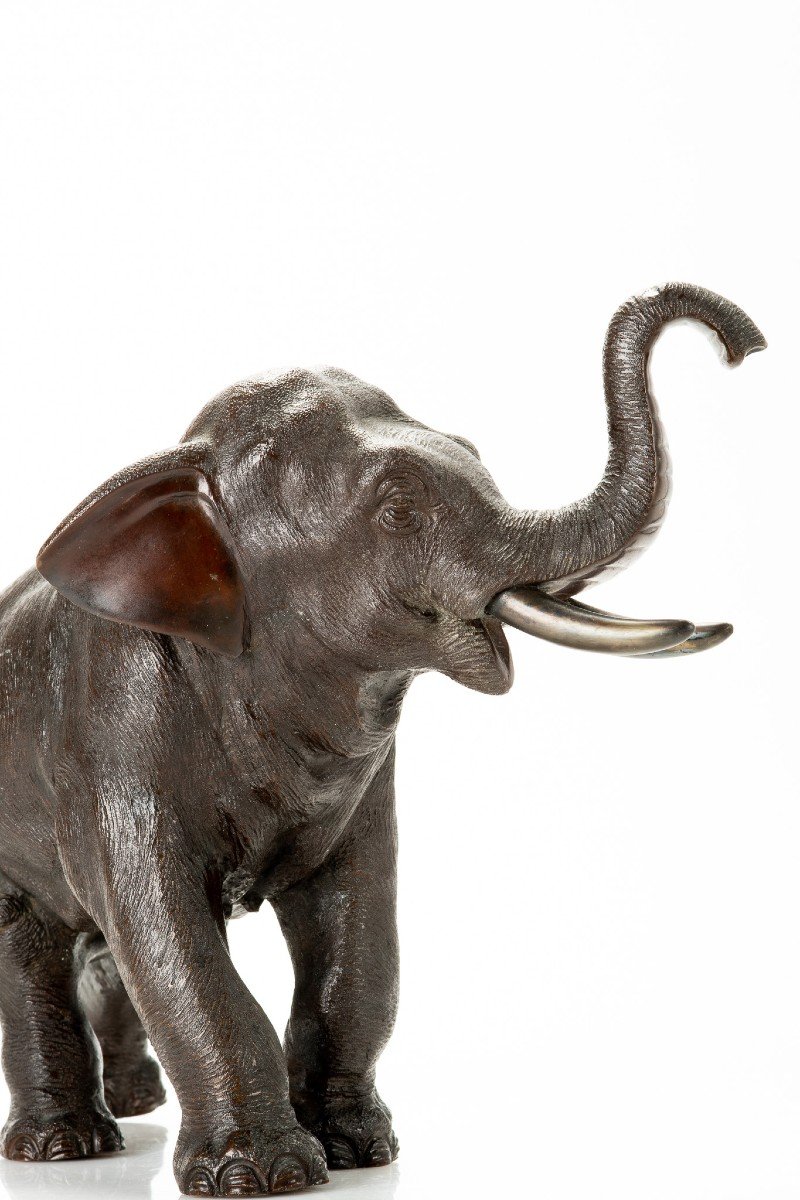 Seiya – Elefante bronzo-photo-1