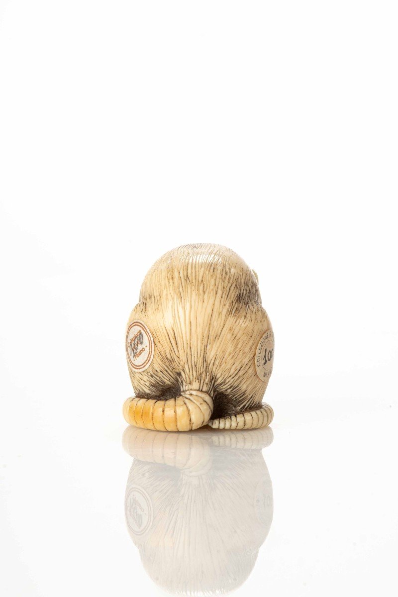 Netsuke in avorio raffigurante un topo-photo-3