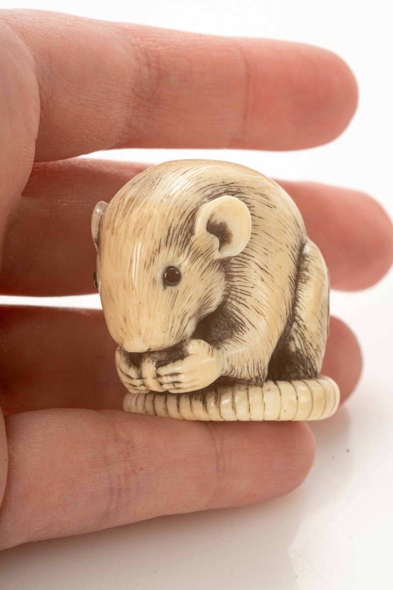 Netsuke in avorio raffigurante un topo-photo-4