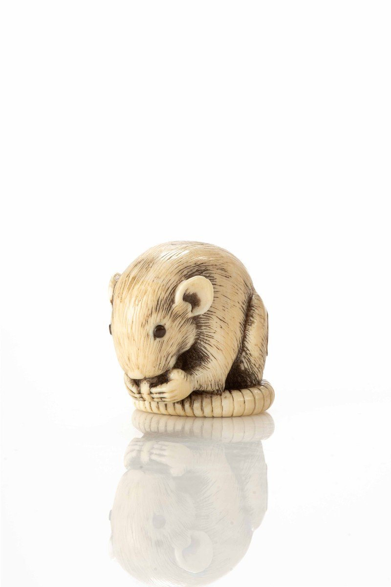 Netsuke in avorio raffigurante un topo