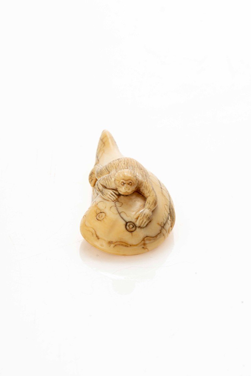 Netsuke in avorio raffigurante una scimmia che  cavalca il leggendario pesce terremoto Namazu-photo-2