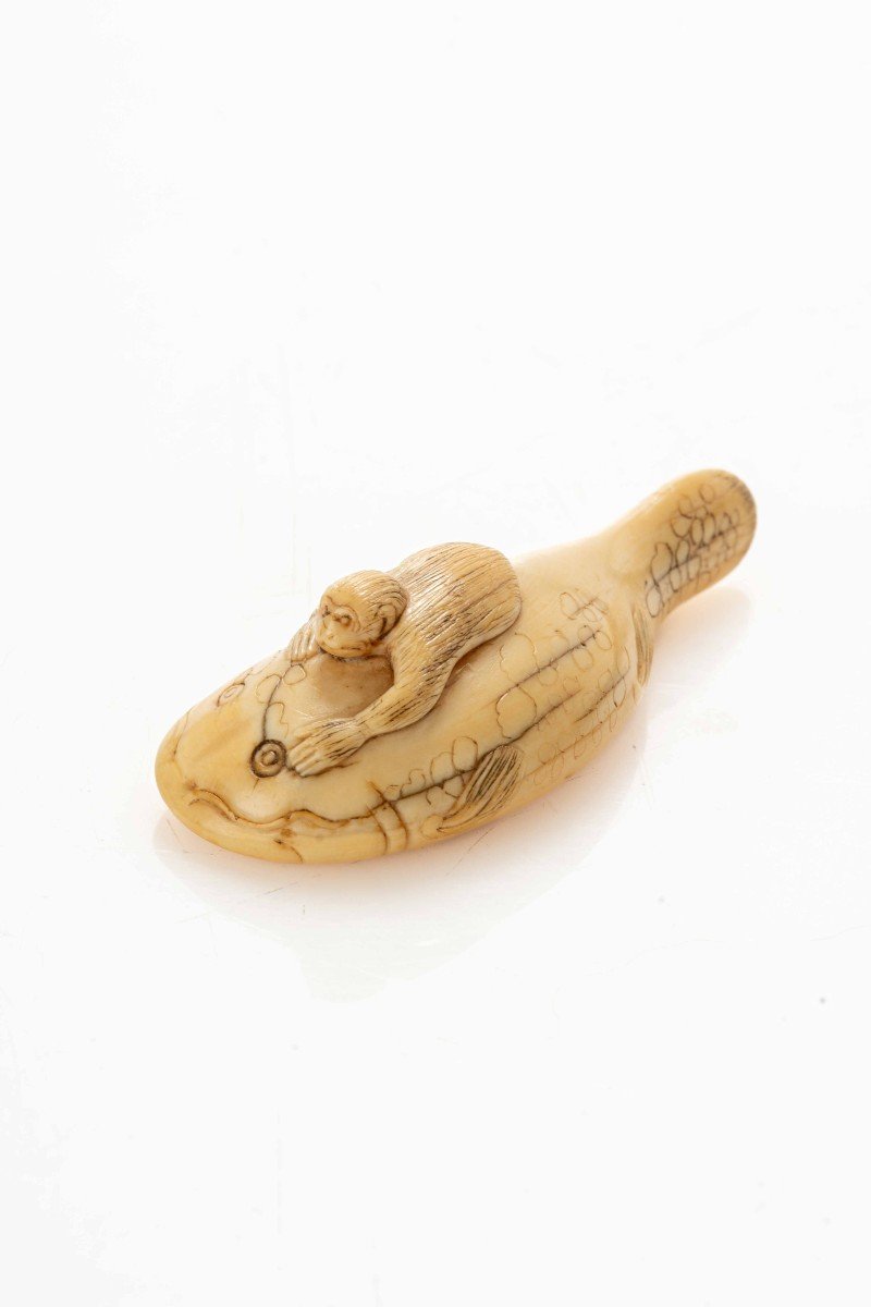 Netsuke in avorio raffigurante una scimmia che  cavalca il leggendario pesce terremoto Namazu-photo-3