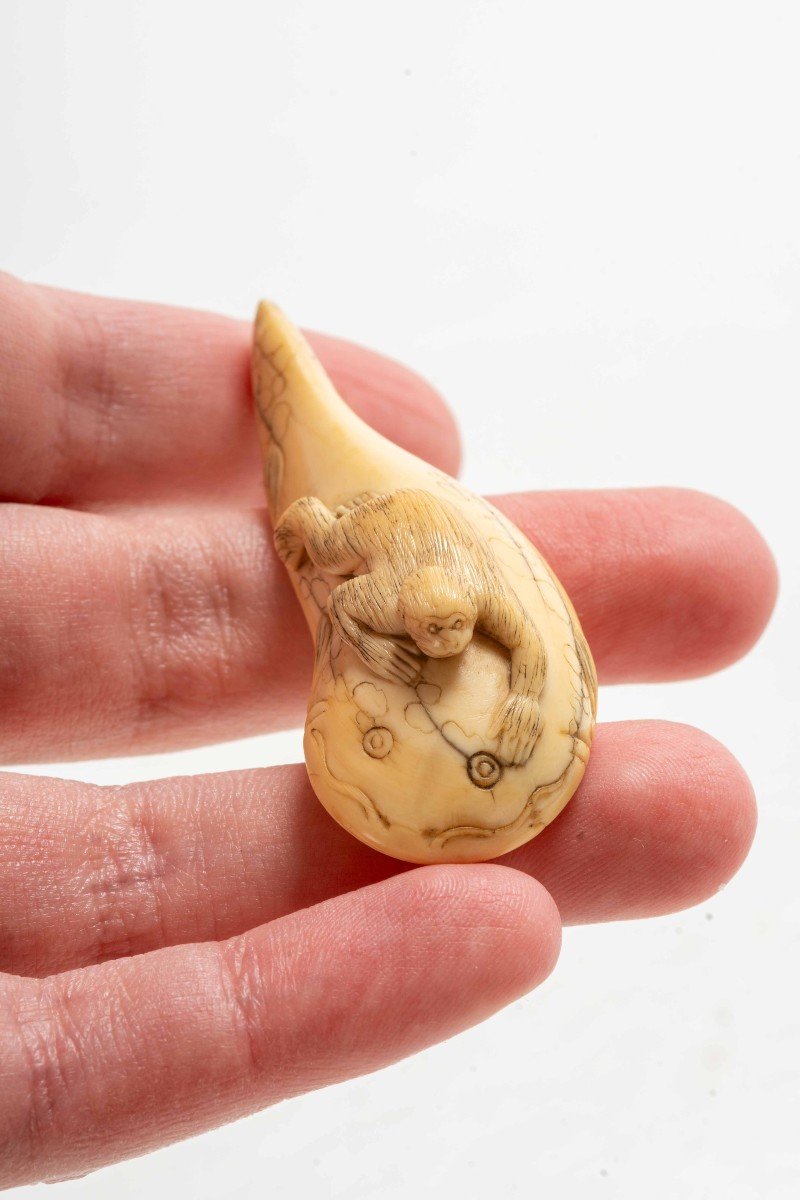 Netsuke in avorio raffigurante una scimmia che  cavalca il leggendario pesce terremoto Namazu-photo-1