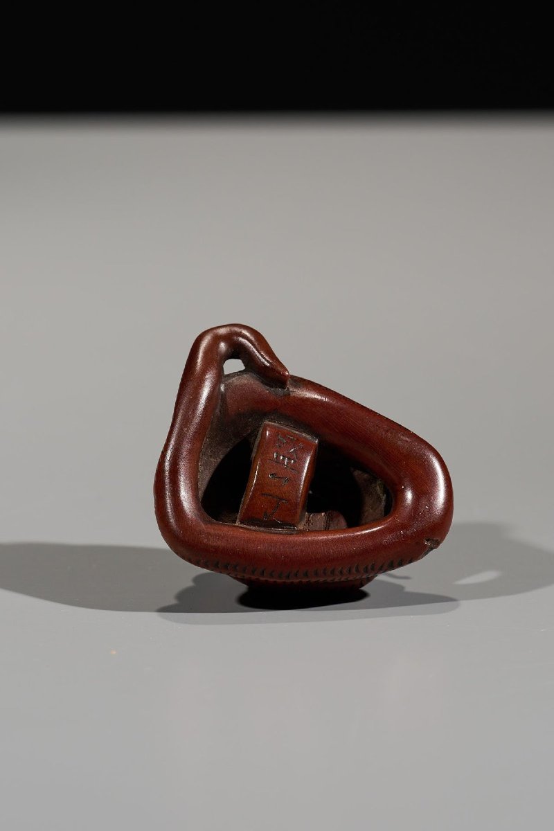 Netsuke in legno di bosso raffigurante un serpente avvolto su se stesso-photo-1