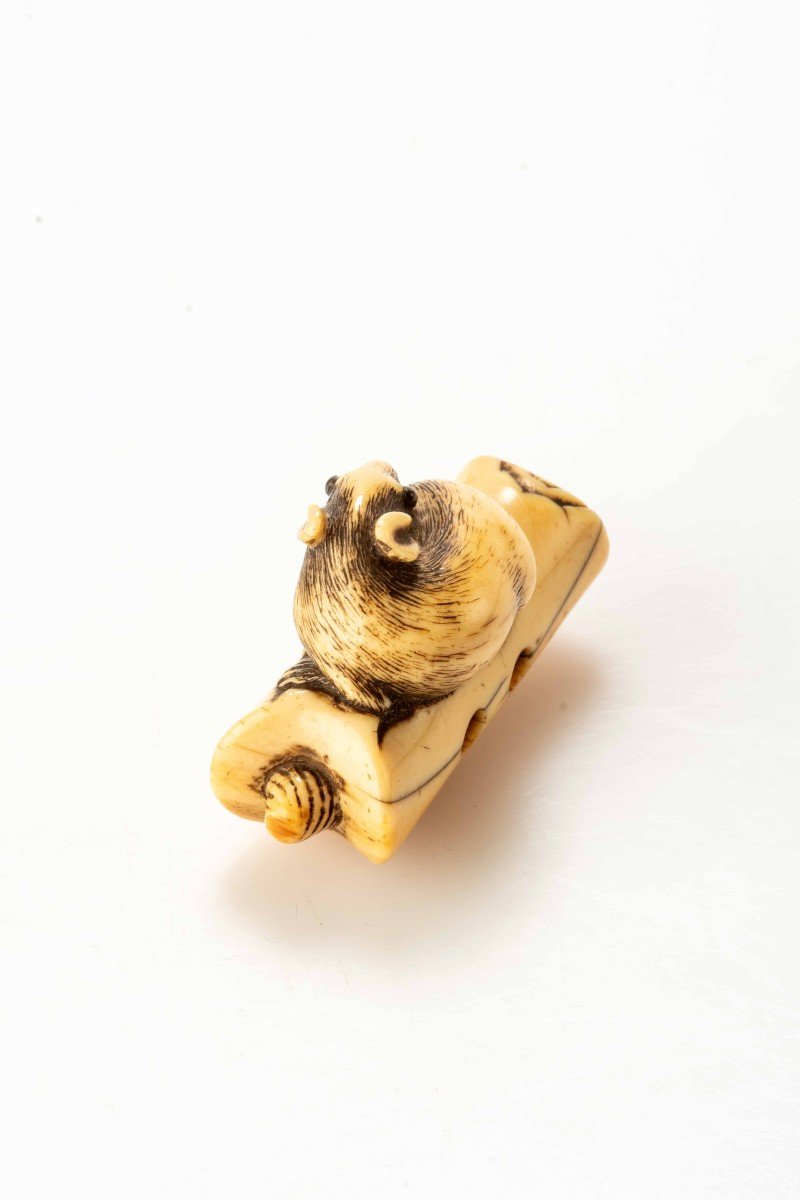 Netsuke in avorio raffigurante un topo accovacciato su una candela rovesciata -photo-3