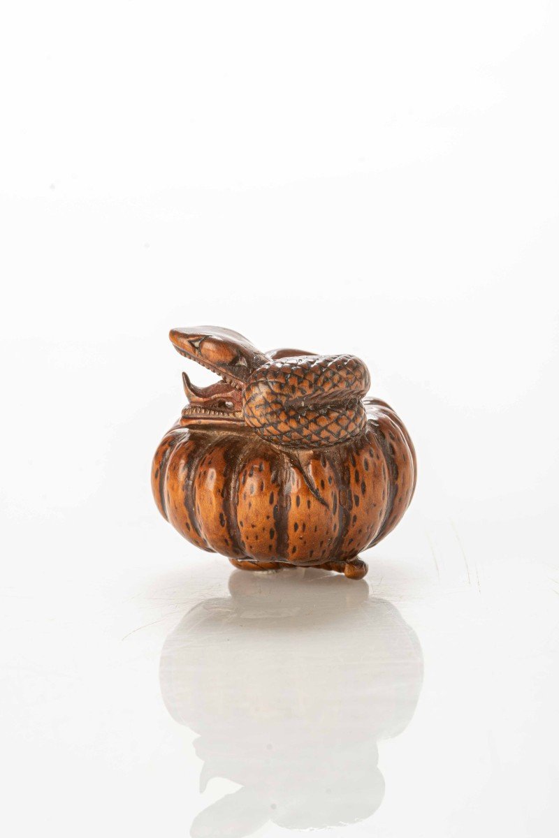 Netsuke in legno di bosso raffigurante un serpente che avvolge una zucca-photo-3
