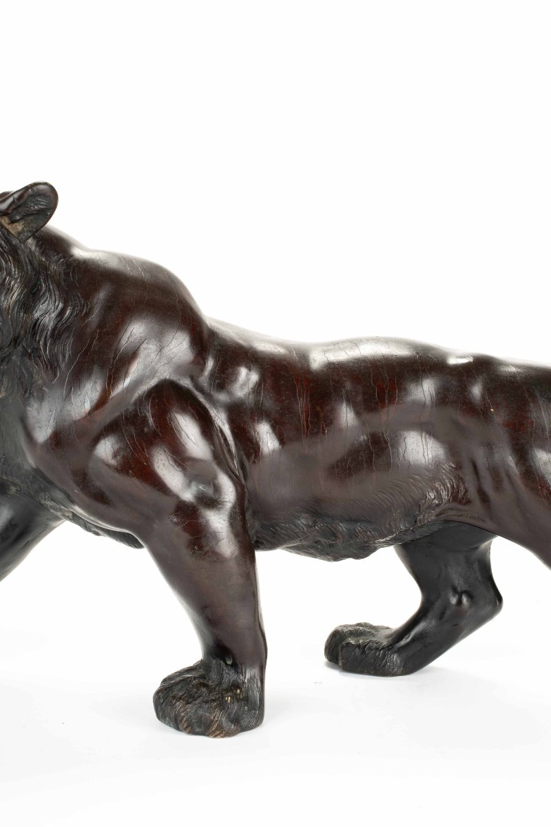 Scultura in bronzo patinato raffigurante lo studio di una potente tigre ruggente-photo-3