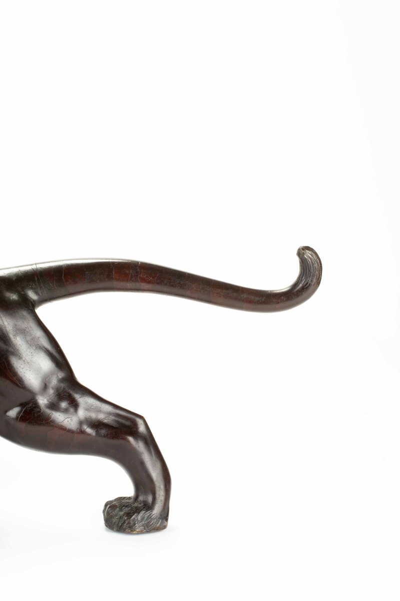 Scultura in bronzo patinato raffigurante lo studio di una potente tigre ruggente-photo-1