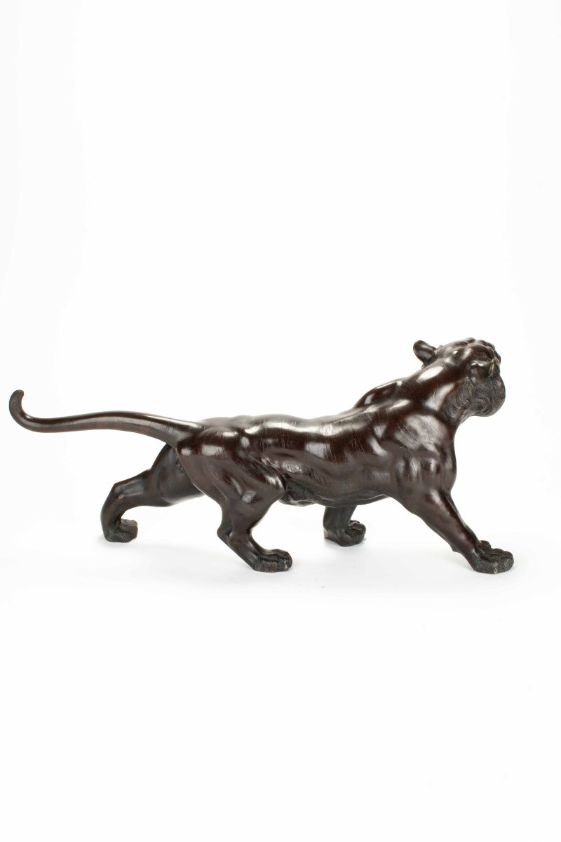 Scultura in bronzo patinato raffigurante lo studio di una potente tigre ruggente-photo-2