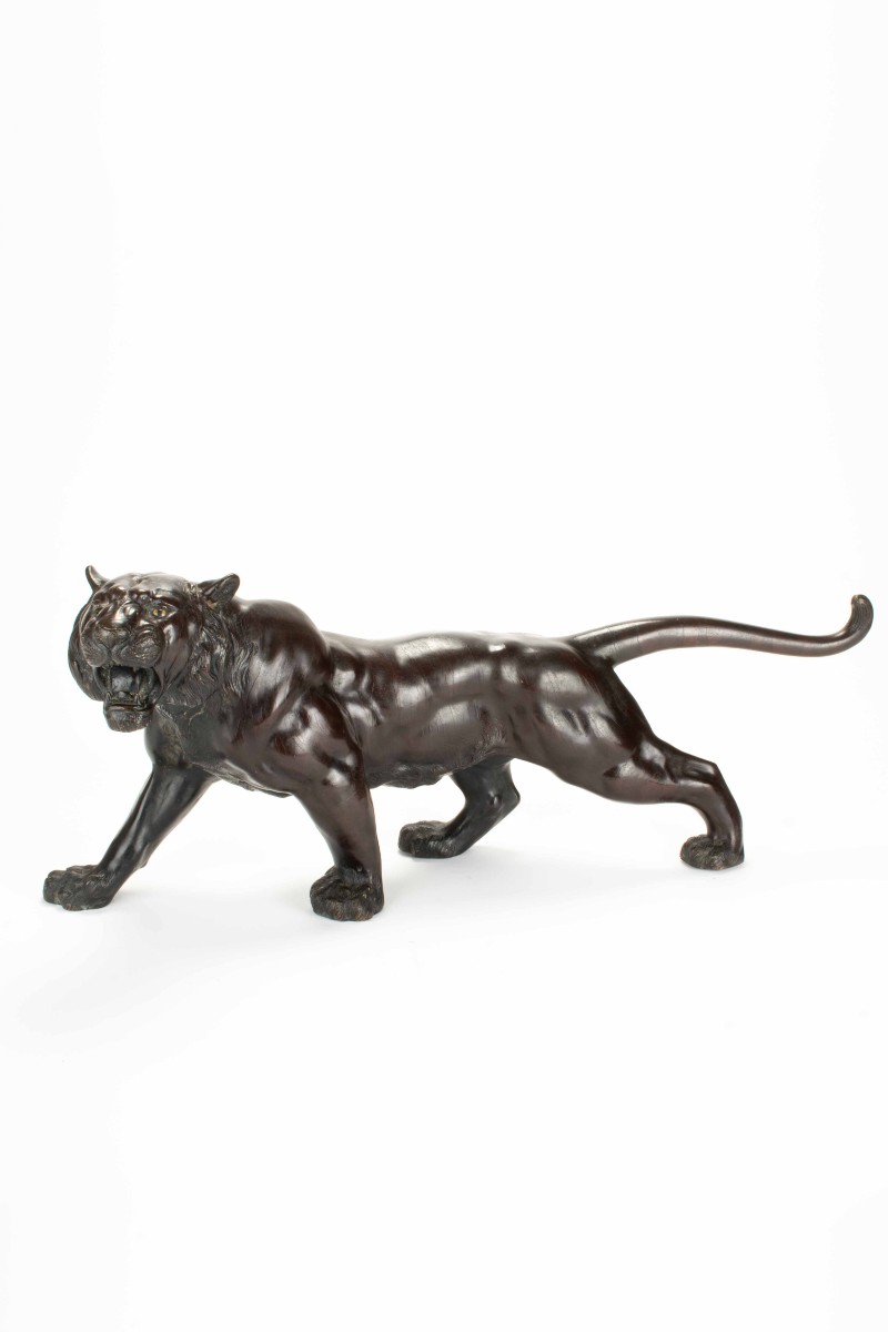 Scultura in bronzo patinato raffigurante lo studio di una potente tigre ruggente