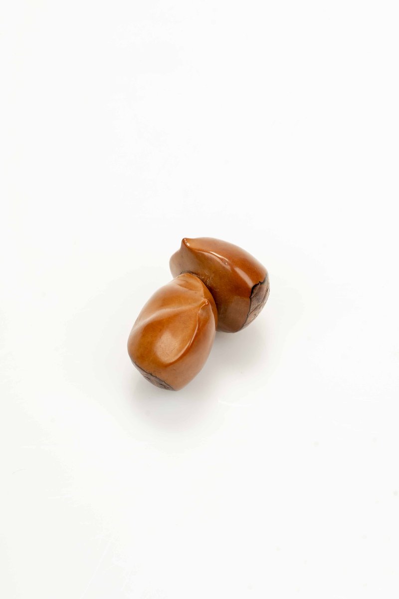 Netsuke in noce di corozo raffigurante due castagne, firmato Ikko-photo-3