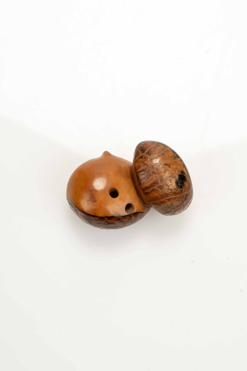 Netsuke in noce di corozo raffigurante due castagne, firmato Ikko-photo-1