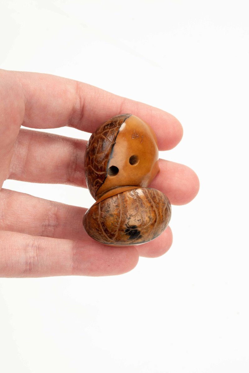 Netsuke in noce di corozo raffigurante due castagne, firmato Ikko-photo-4