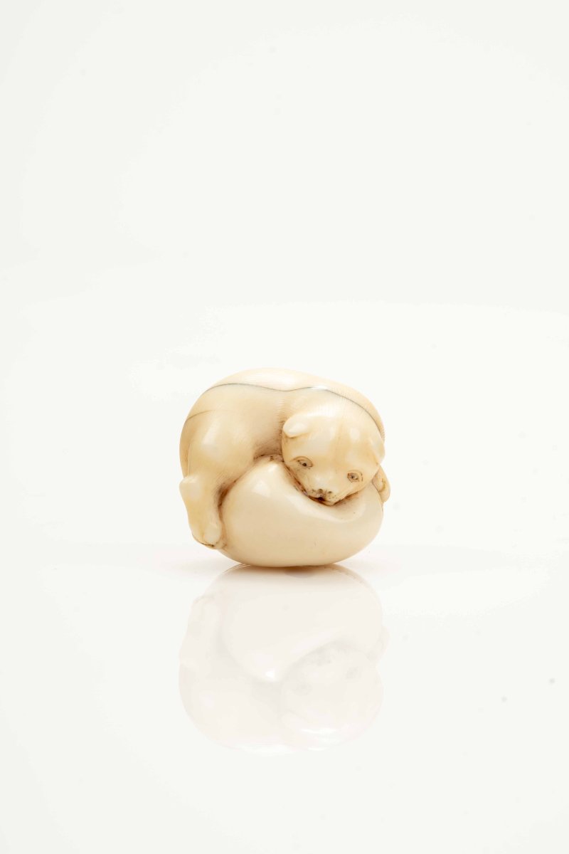 Netsuke giapponese in avorio marino raffigurante un cucciolo -photo-2