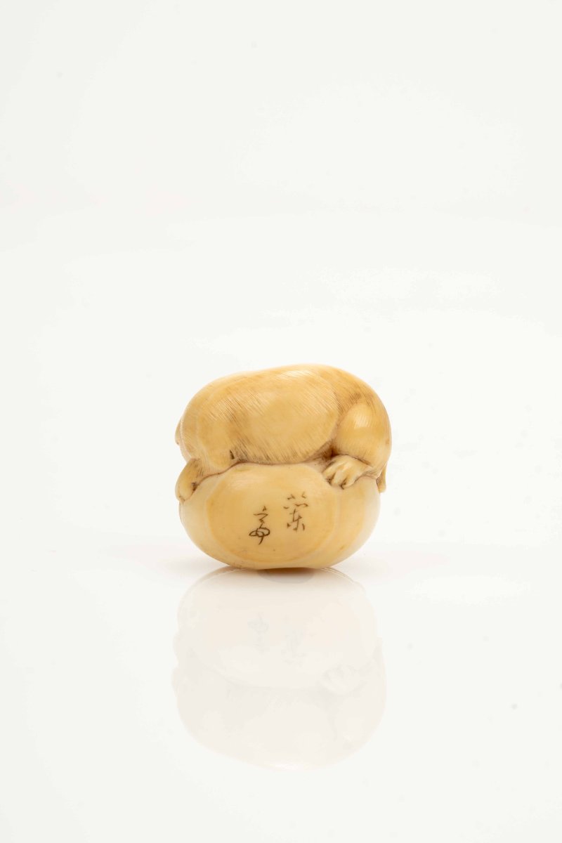 Netsuke giapponese in avorio marino raffigurante un cucciolo -photo-3