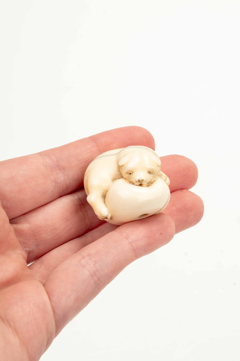 Netsuke giapponese in avorio marino raffigurante un cucciolo -photo-1