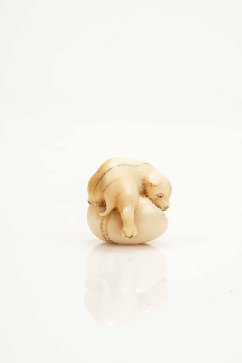 Netsuke giapponese in avorio marino raffigurante un cucciolo 