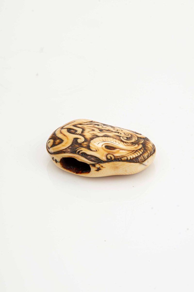 Netsuke manju giapponese in avorio raffigurante un drago avvolto su se stesso-photo-3
