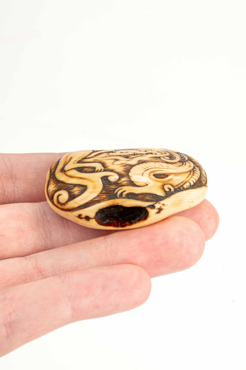 Netsuke manju giapponese in avorio raffigurante un drago avvolto su se stesso-photo-1