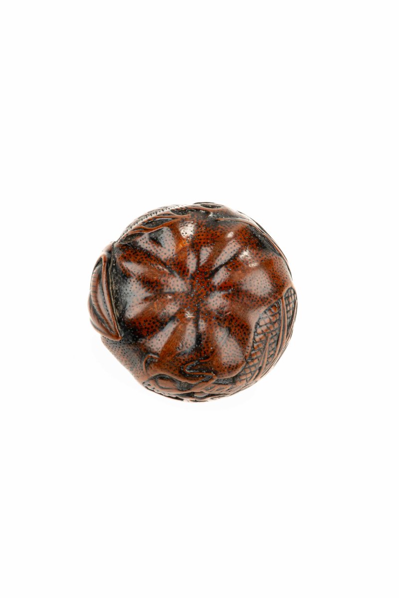 Netsuke in legno di bosso raffigurante un mandarino con drago inciso, firmato Tomomitsu-photo-2