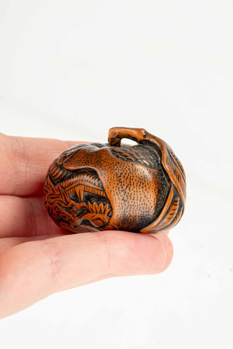 Netsuke in legno di bosso raffigurante un mandarino con drago inciso, firmato Tomomitsu-photo-4