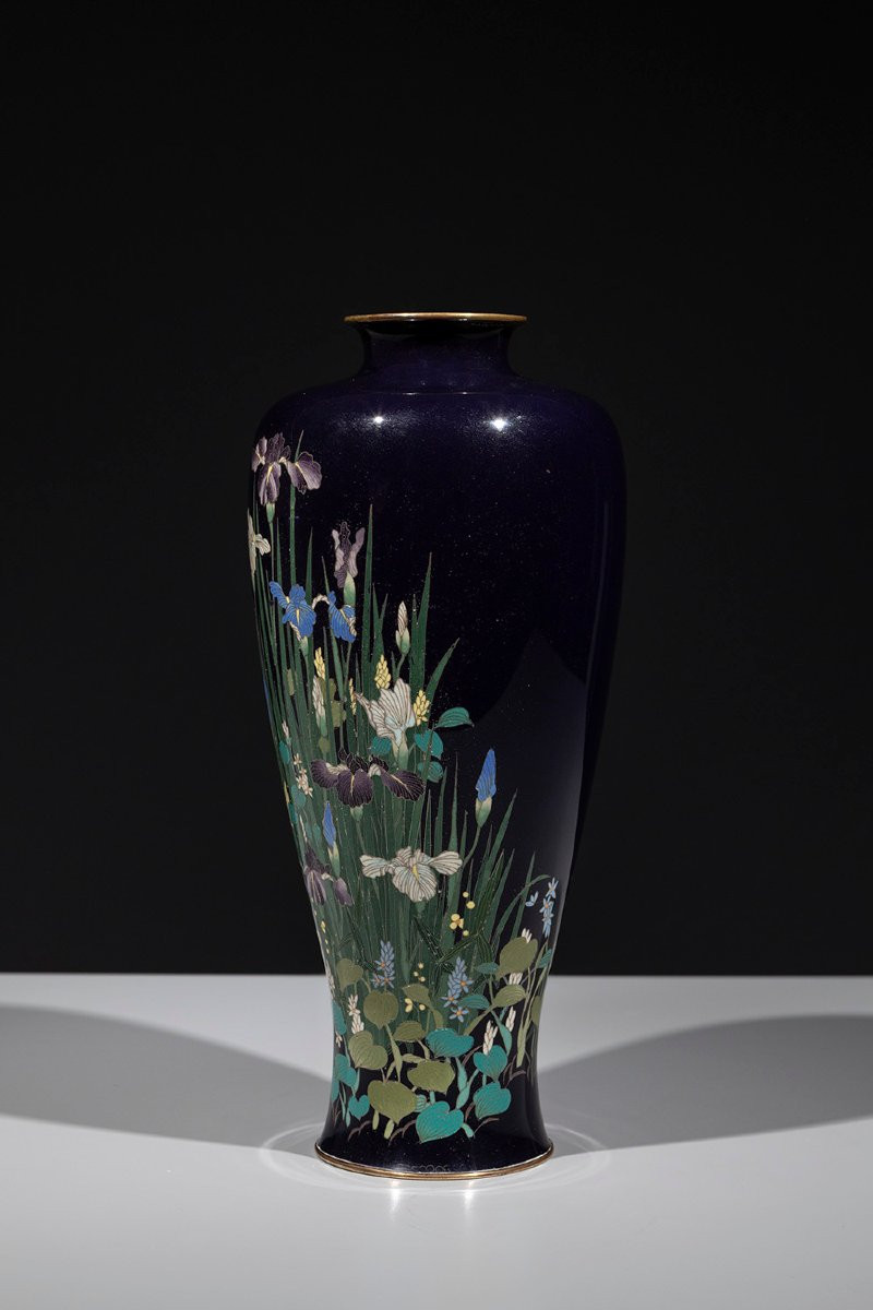 Vaso cloisonné raffigurante una composizione di iris e piante acquatiche-photo-2