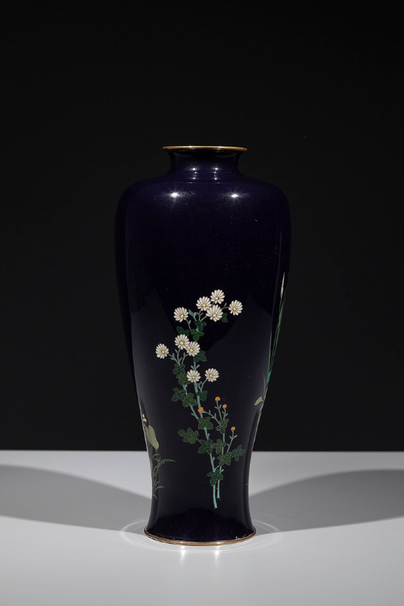 Vaso cloisonné raffigurante una composizione di iris e piante acquatiche-photo-3