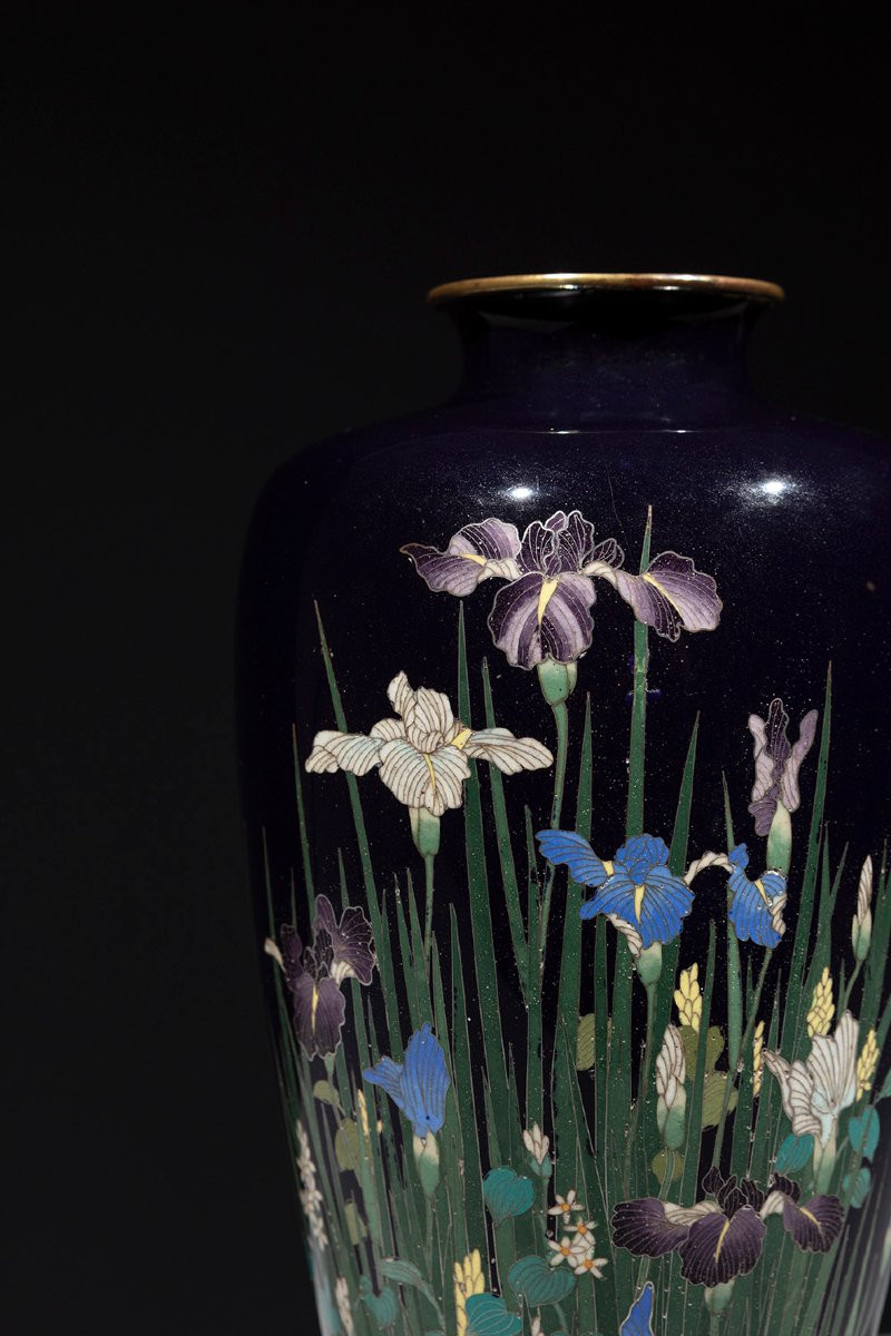 Vaso cloisonné raffigurante una composizione di iris e piante acquatiche-photo-1