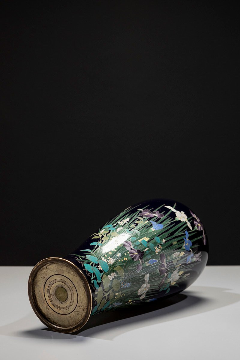 Vaso cloisonné raffigurante una composizione di iris e piante acquatiche-photo-2