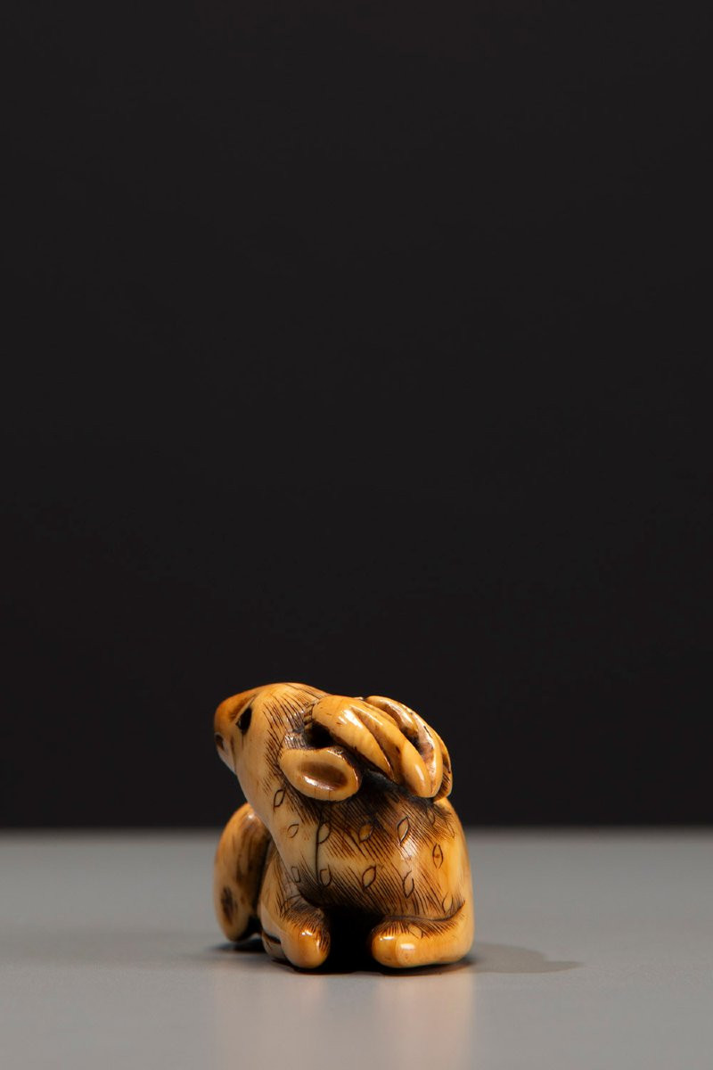Netsuke in avorio raffigurante un cervo accovacciato-photo-2