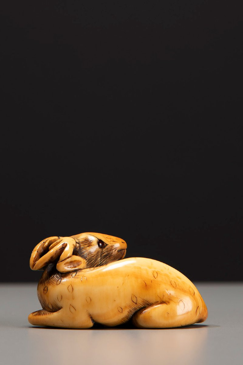 Netsuke in avorio raffigurante un cervo accovacciato-photo-3