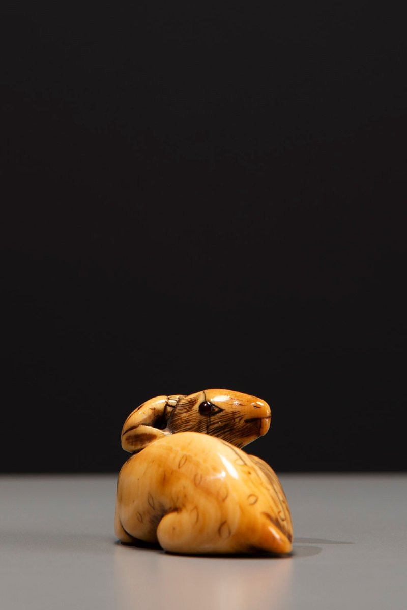 Netsuke in avorio raffigurante un cervo accovacciato-photo-4