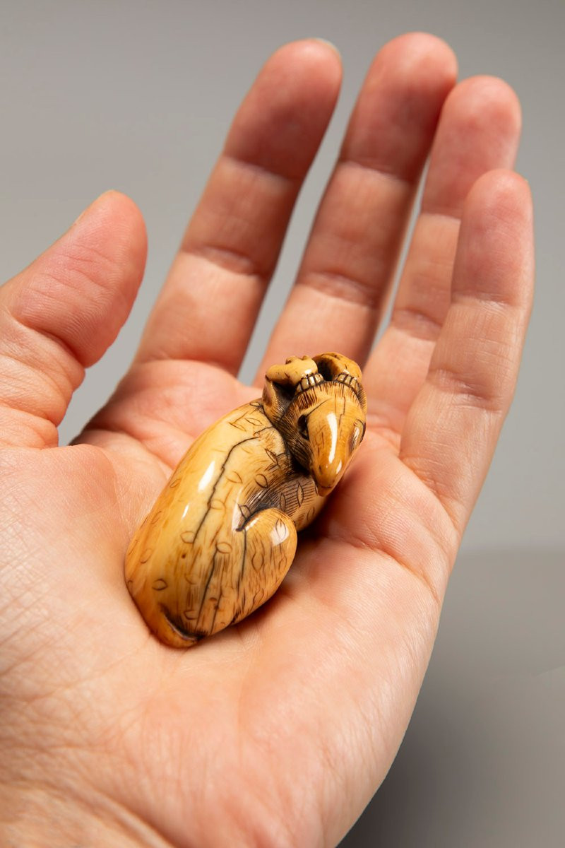 Netsuke in avorio raffigurante un cervo accovacciato-photo-2