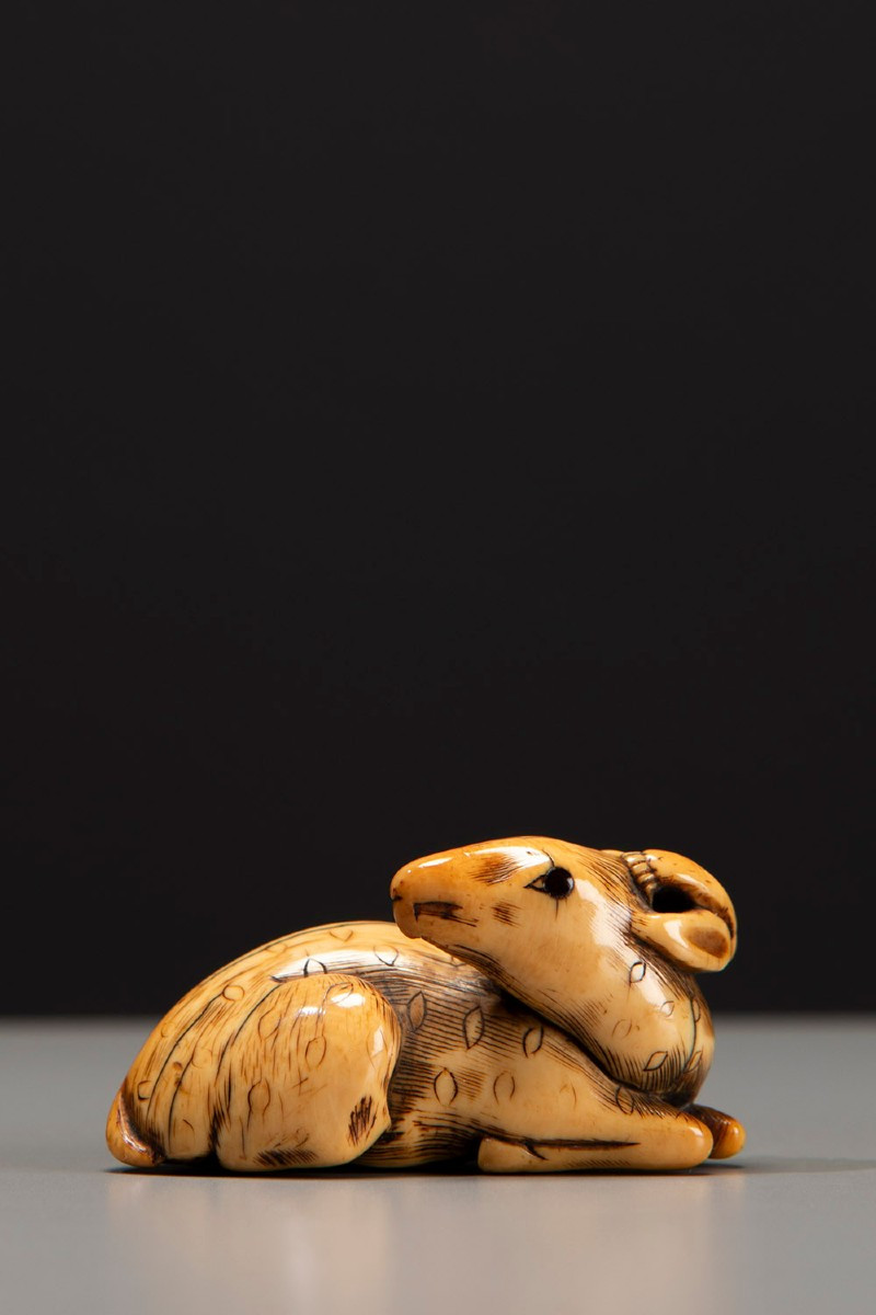 Netsuke in avorio raffigurante un cervo accovacciato