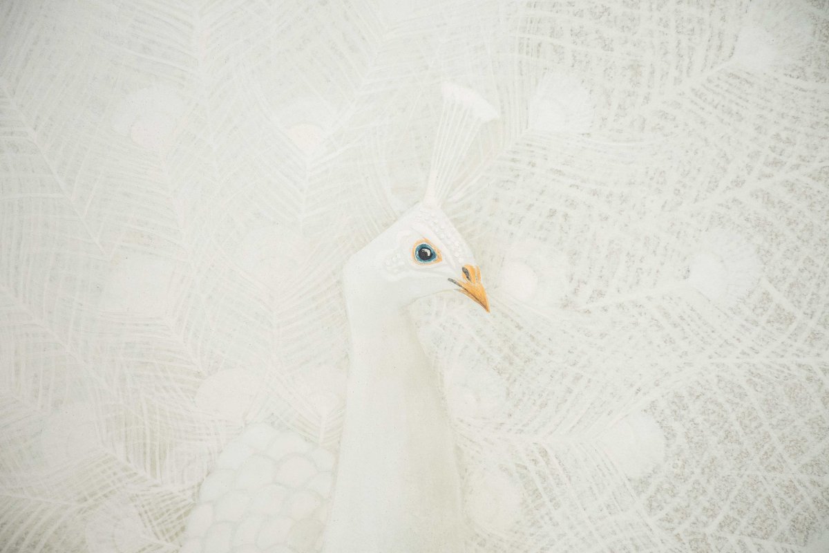 Paravento a quattro pannelli raffigurante un pavone bianco, firmato Yukihiko Kurihara-photo-1